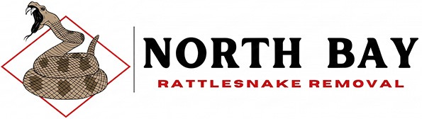 nbrsr-logo-mini